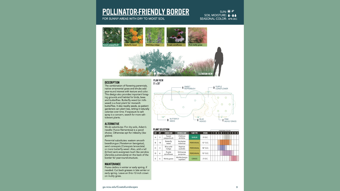 Above: A new landscaping design series includes this pollinator-friendly border template.
