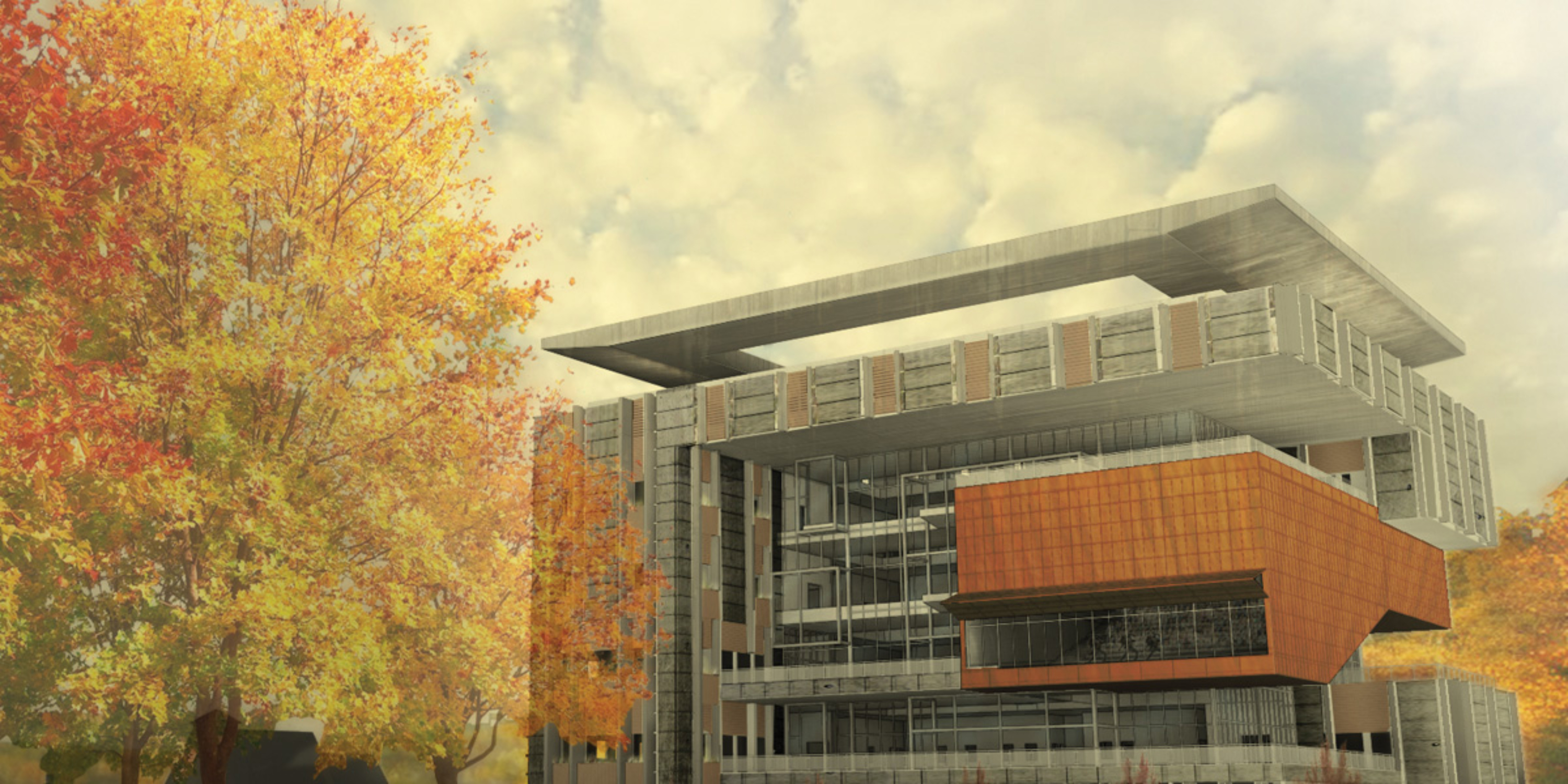 College Of Design School Of Architecture