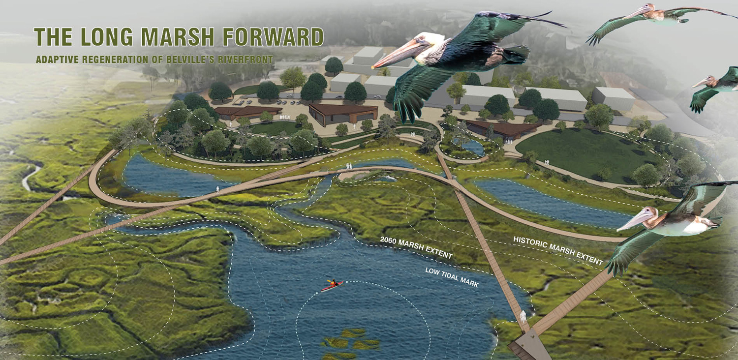 Student ASLA award winning project long marsh forward