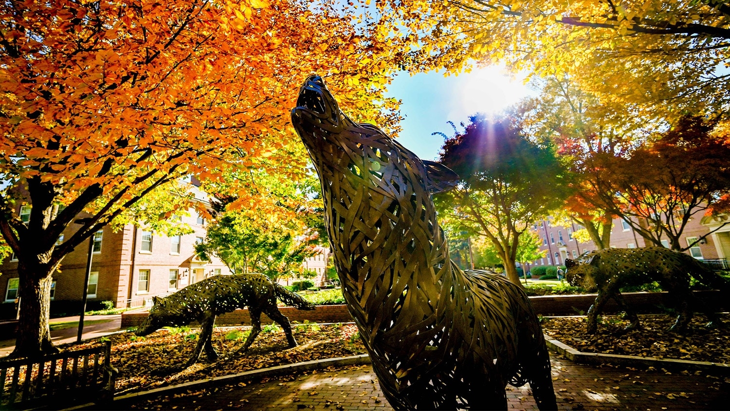 The woven bronze wolf statues on Wolf Plaza on a sunny fall afternoon