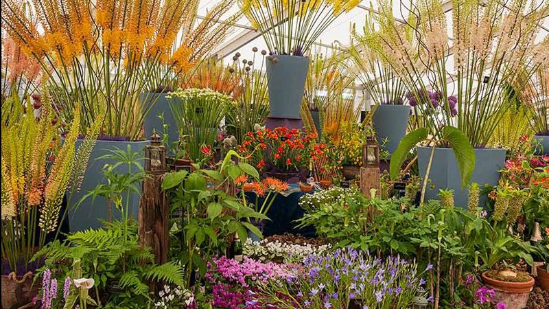 RHS Garden Show B0B