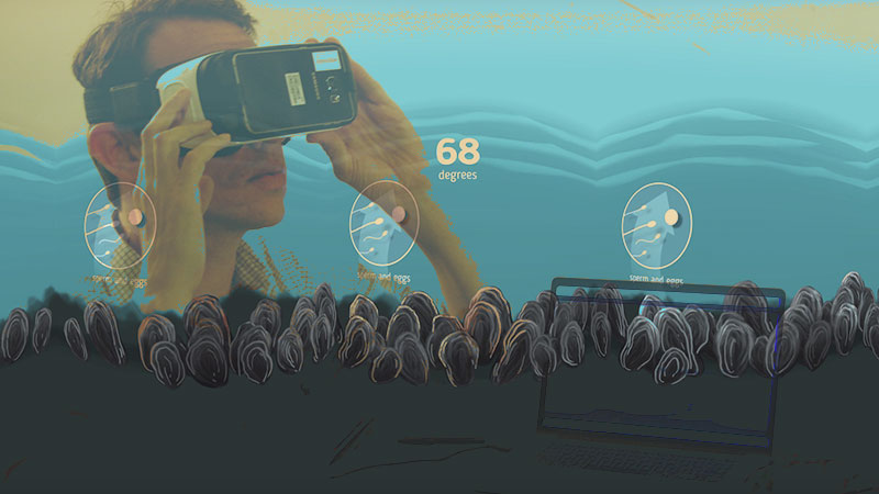 VR-Oyster-Project_800x450