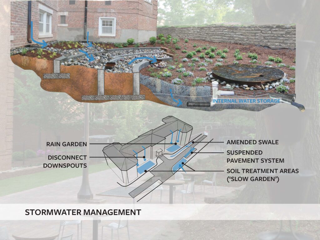 Landscape Design + Build Studio - Sir Walter Raleigh Award Winner 2019