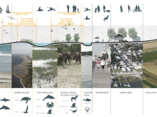 Coastal Dynamics Design Lab