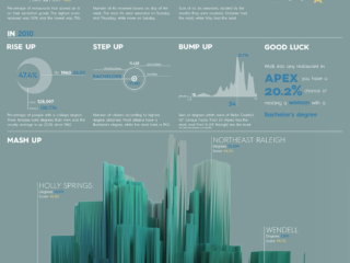 Data Stories Project: Lies, Damn Lies & Statistics