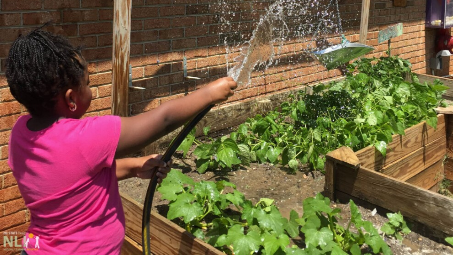 nli student spraying plants