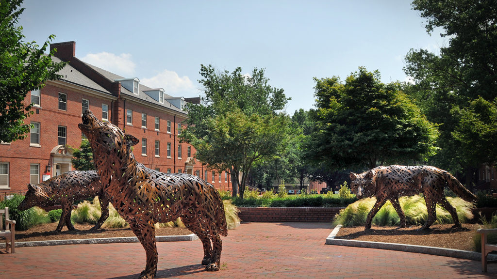Ncstate Admissions 1024x576 