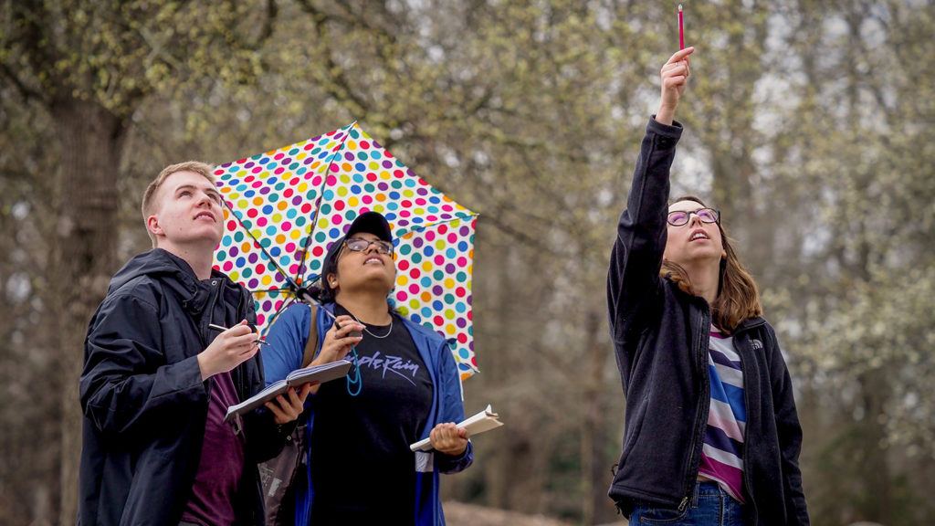 Students in the field