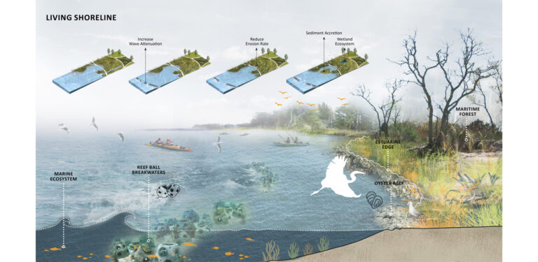 Sound Design: Reconnecting the Coastal Edge, designed by Xinyu Li (MLA candidate 2020) and Xinyi Liu (MLA 2020)