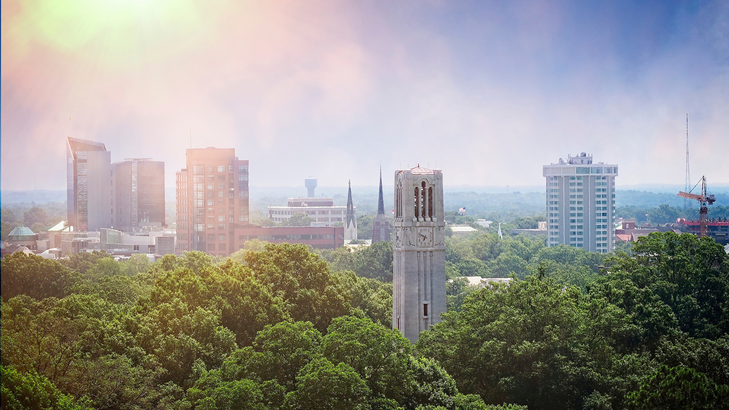 Raleigh Campus Skyline