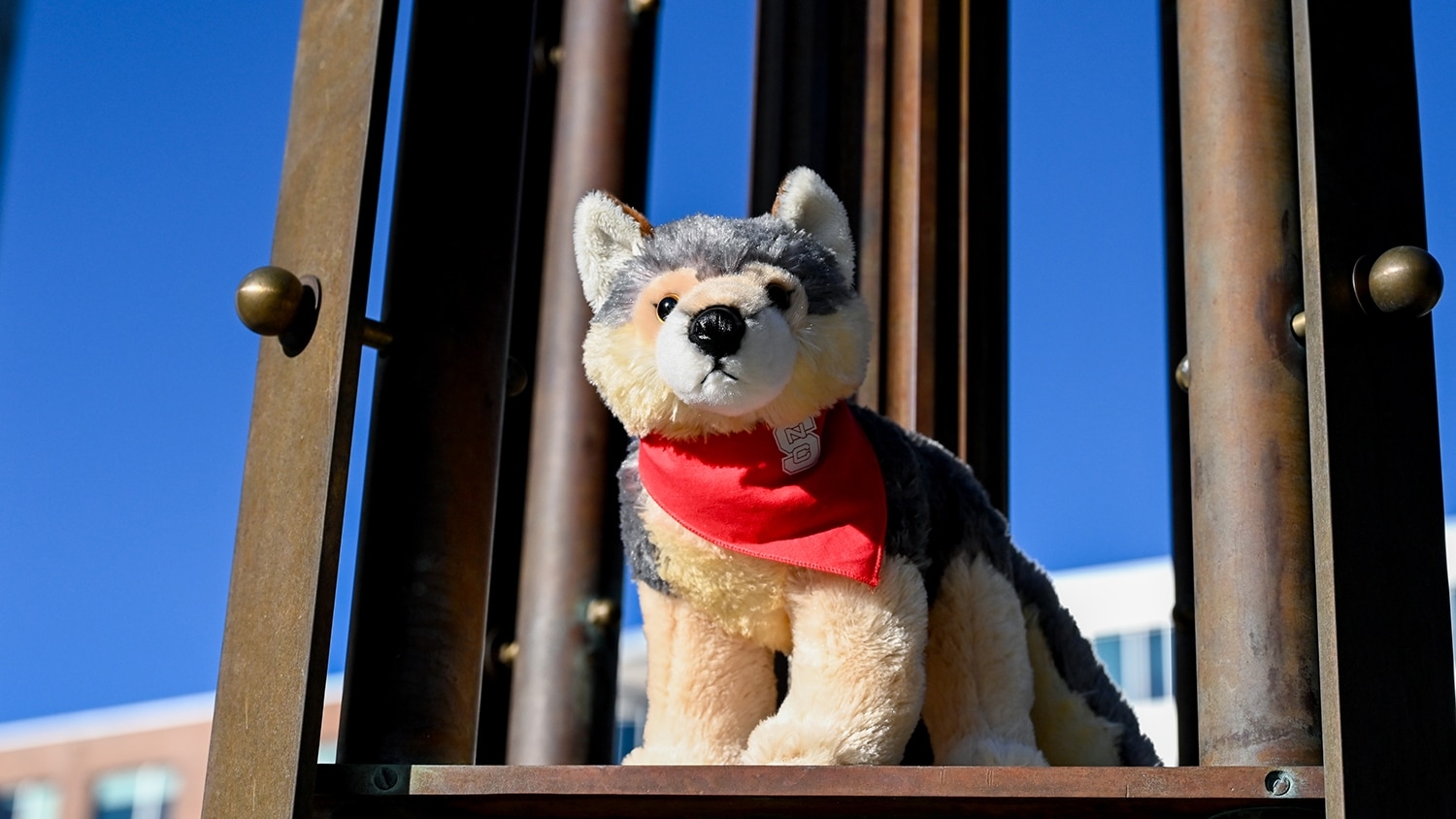 plush wolf with NC State bandana