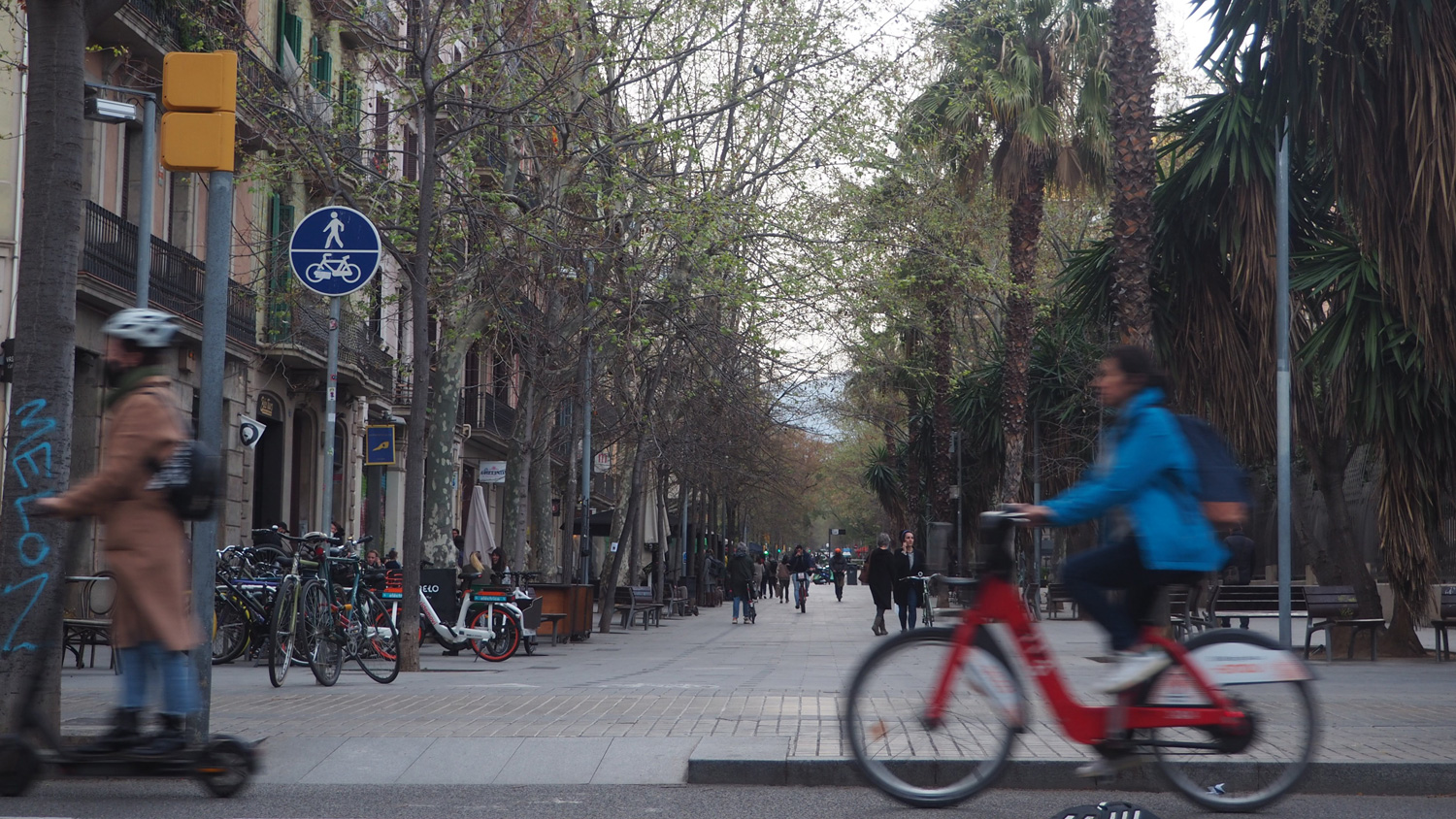 Woman riding bicycle