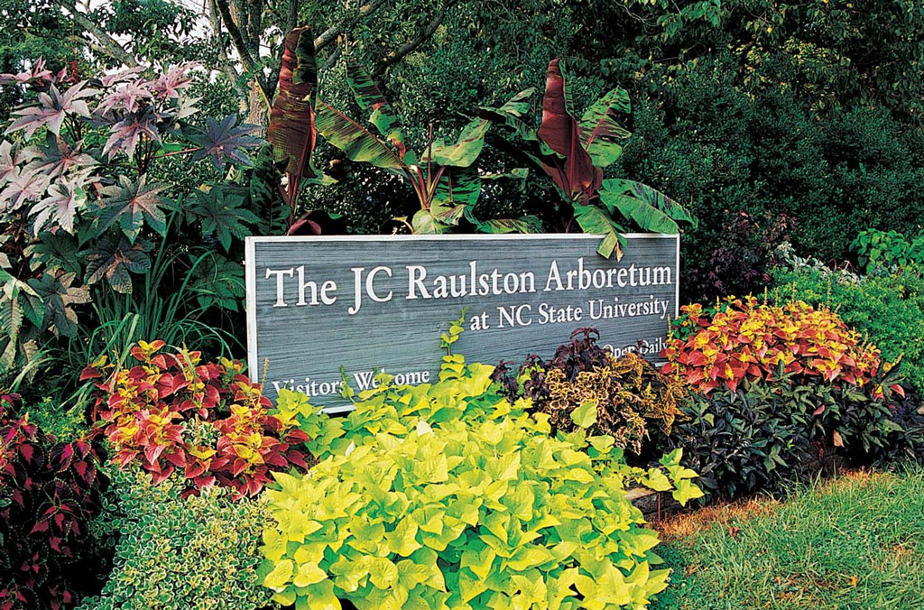 JC Raulston Arboretum fund