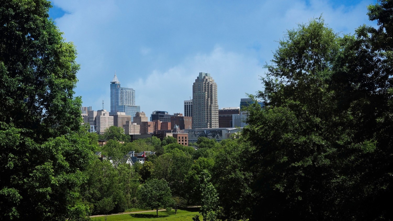 the downtown Raleigh skyline framed by trees