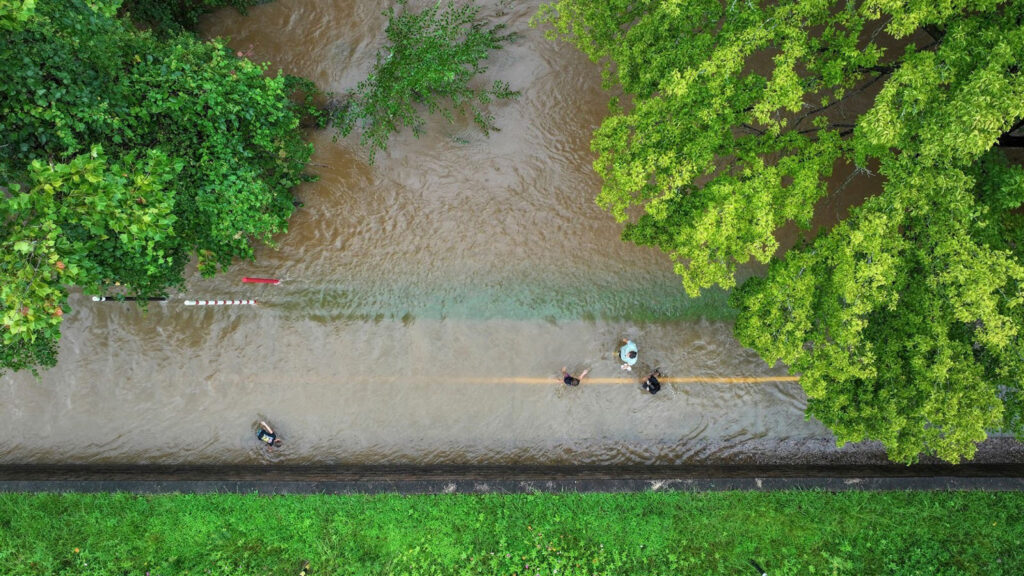 Alluvial Decoder overhead image