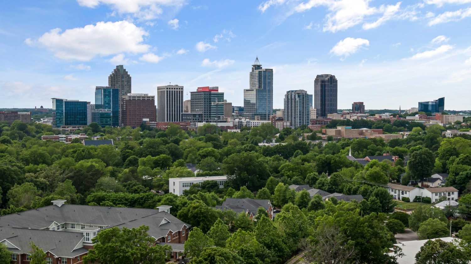 Raleigh skyline with trees