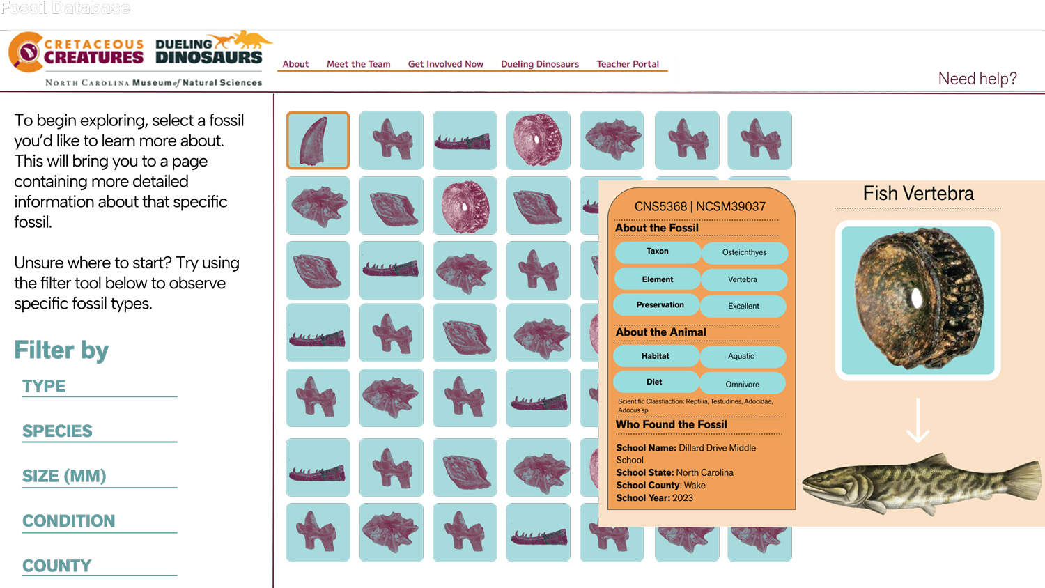 database visualization detail for Cretaceous Creatures Project