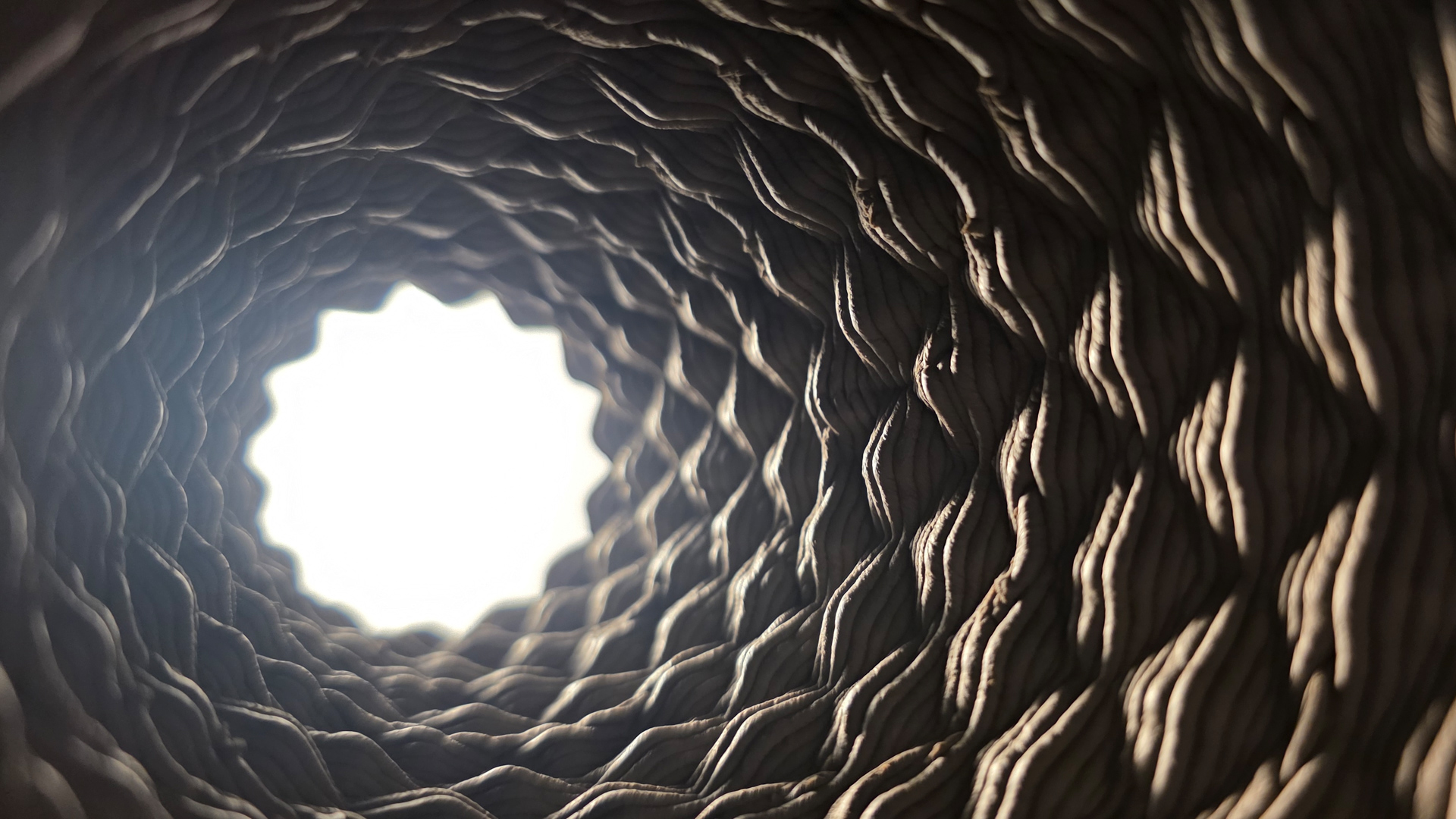 light showing through a small ceramic sculpture