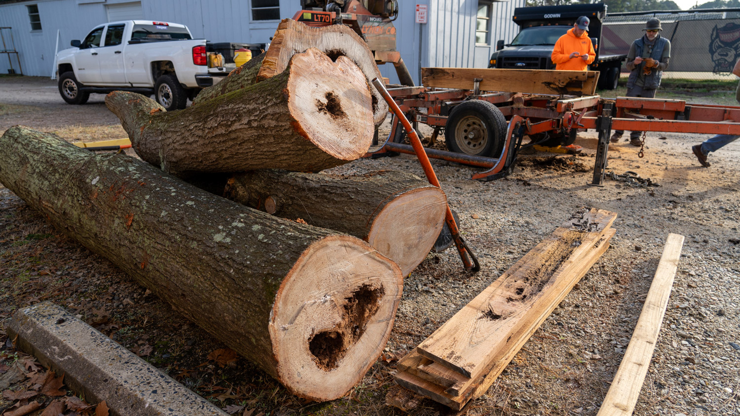 A pile of large cut branches awaits planing.