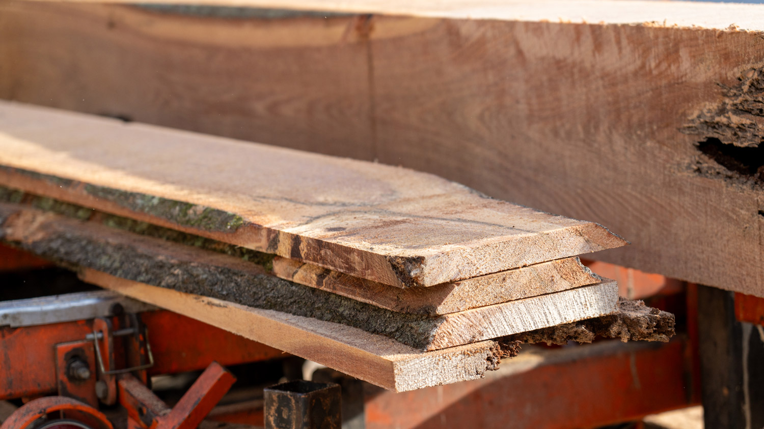 The tree is planed into planks for use.